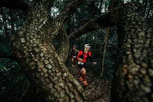 BIB: 
                            <button type="button" onclick="openModal(25681880)" class="btn btn-primary btn-sm float-right btn-popup" data-toggle="modal" data-target=".modal-high-quality">
                        <i class="fas fa-shopping-cart"></i> Add to Cart
                    </button>
                                            <button type="button" onclick="isThisMe(25681880, true)" class="btn btn-success btn-sm float-right btn-popup btn-isme hidden" data-toggle="tooltip" data-placement="bottom" title="นี่คือรูปของคุณใช่ไหม คลิกที่นี่เพื่อเอาเข้าอัลบั้ม">
                        <i class="fas fa-plus"></i> Add to album
                    </button>
                    <button type="button" onclick="isThisMe(25681880, false)" class="btn btn-warning btn-sm float-right btn-popup btn-isnotme hidden">
                        <i class="fas fa-ban"></i> Remove from album
                    </button>